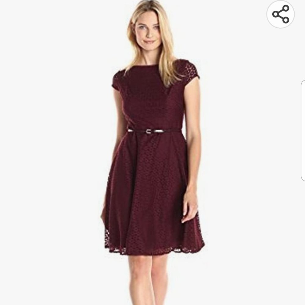 KASPER Women's Fit and Flare Eyelet Lace Dress, Bordeaux, 10